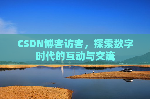 CSDN博客访客，探索数字时代的互动与交流